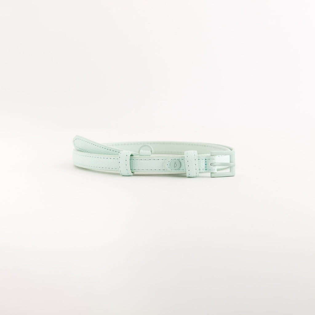 Carpisa Croatia – LIV - Women's Belt – ACC08303444 – Image 2 |k=ACC0830344498A01_01_basechild