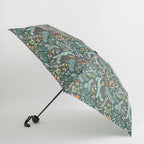 Carpisa Mini umbrella - Rainy Umbrella – AOC9540754533801_01_basechild – AOC95407545